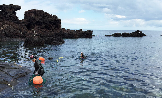 Haenyeo sea women emerge from a dive.
