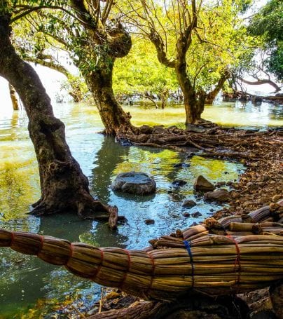 Papyrus boats on shore of Lake Tana, Ethiopia